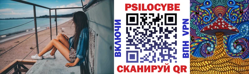 где найти   Власиха  гидра ссылка  Галлюциногенные грибы Psilocybe 
