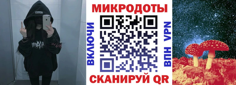 Галлюциногенные грибы Psilocybe Власиха